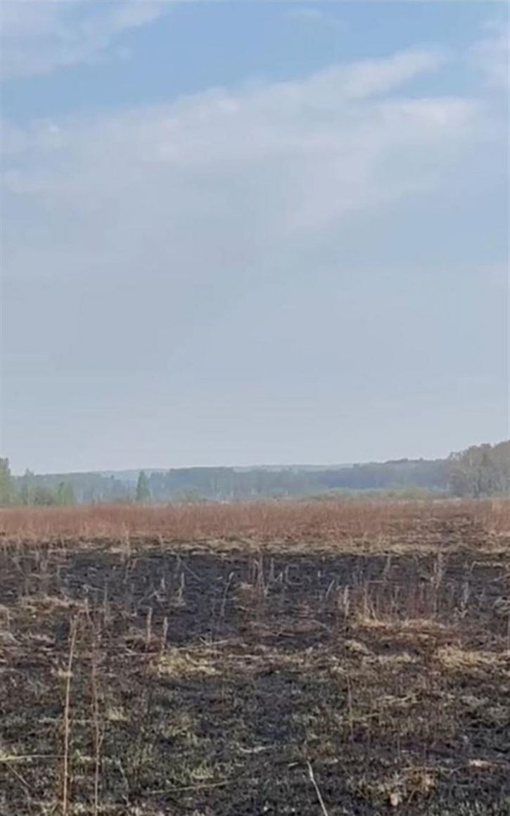 Земельный участок Бирофельд