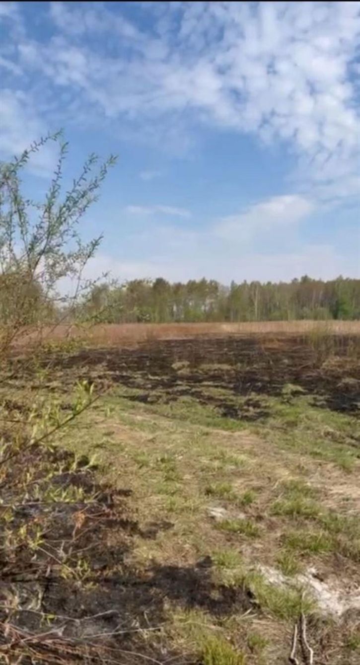 Земельный участок Бирофельд