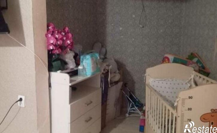 1-комн квартира ул Парковая, 12,  д. 12