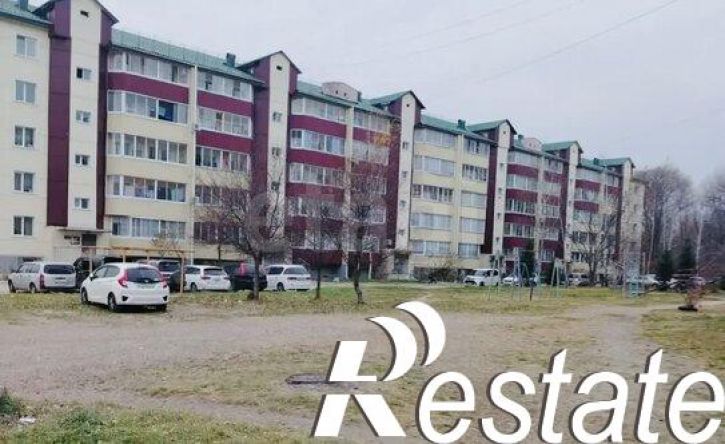 1-комн квартира Парковая улица, 16,  д. 16